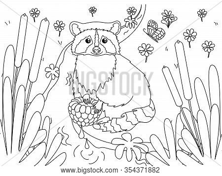 Raccoon Washes Raspberries In A Stream Of Water. Children Coloring. Black Lines, White Background. C