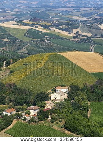Rural Landscape At Summer From Ripatransone, Ascoli Piceno, Marches, Italy