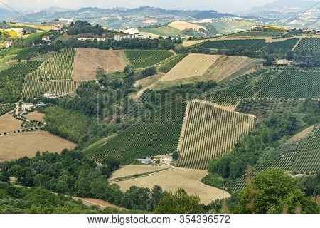 Rural Landscape At Summer Near Ripatransone, Ascoli Piceno, Marches, Italy