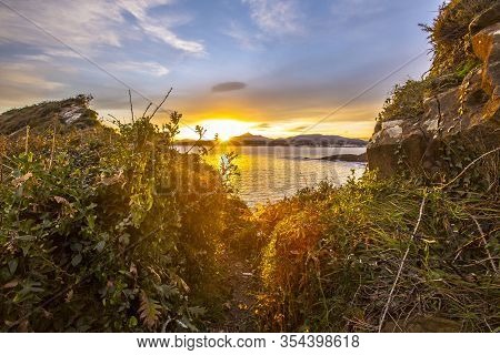 The Dawn Behind Some Bushes Of The Town Of Fuenterrabia. Basque Country