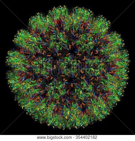3d Molecular Structure Of Human Papillomavirus Type 16, Associated With Various Cancers And Other Di