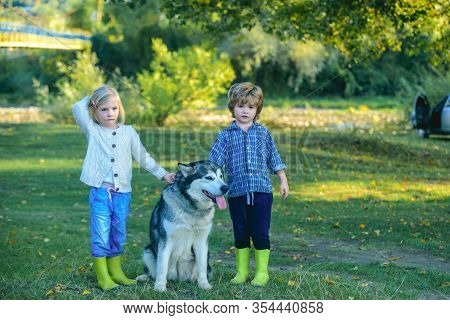 Funny Children Boy And Girl With Dog Walk Together On Green Hill. Adventure And Vacations Children C