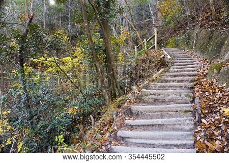 Stairway, Trail, Footpath, Country Road In Hoshi No Buranko, Osaka, Japan As Background