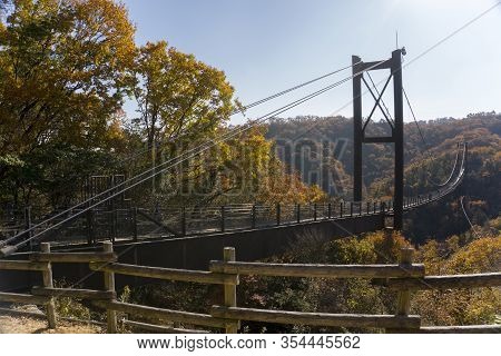 Suspension Bridge Surrounded By Ginkgo And Maple Trees In Hoshi No Buranko, Hoshida, Katano During A