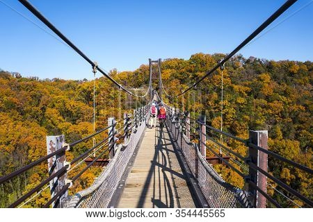 Osaka, Japan - 8 December 2019 : Suspension Bridge Surrounded By Ginkgo And Maple Trees In Hoshi No 