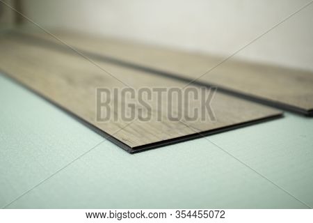 Vinyl Laminate. Laying Of The Floor Covering.