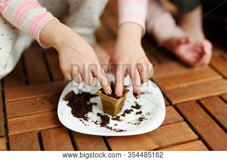 Close-up Of Children's Hands Planting Flowers And Vegetables In Small Biodegradable Seedling Pots. C