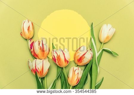 Composition With Yllow Round And A Bouquet Of Beautiful Tulips. The Concept Of Spring Holidays, Spri