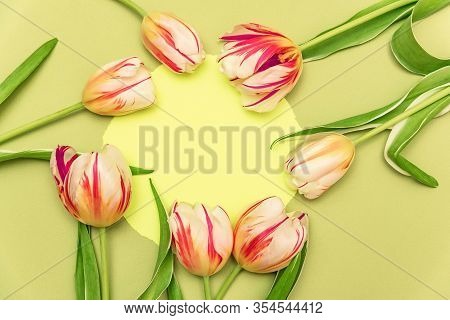 Composition With Yllow Round And A Bouquet Of Beautiful Tulips. The Concept Of Spring Holidays, Spri