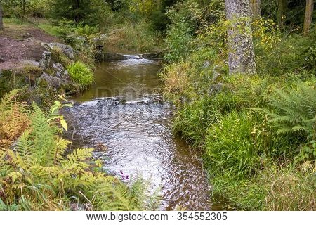 Idyllic Scenery At A Small Creek In The Vosges Mountains