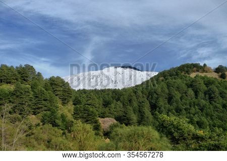 pine forest and snowy top of Etna Mount, Sicily