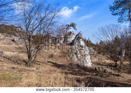 Góra Zborów (berkowa Góra) - A Rocky Hill Within The Village Of Podlesice In The Śląskie Voivodeship