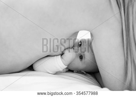 A Baby Is Breastfed Eats Lying With Mom On The Bed. Black-white