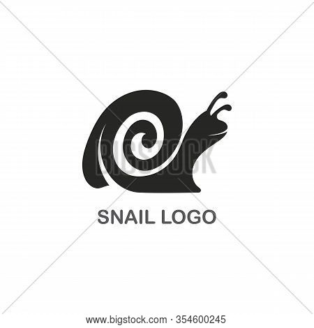 Snail Logo Creative Template Vector Icon Illustration Design