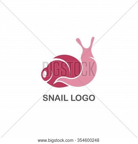 Snail Logo Creative Template Vector Icon Illustration Design