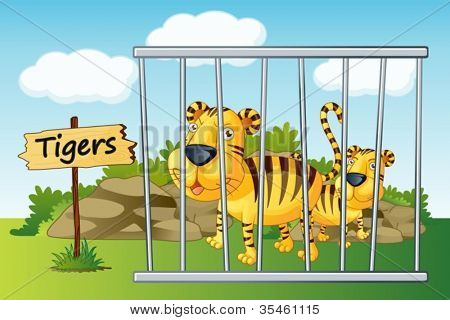 Beispiel für ein Tiger im Käfig und Holzbrett