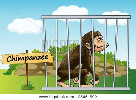 Abbildung eines Schimpansen im Käfig und Holzbrett