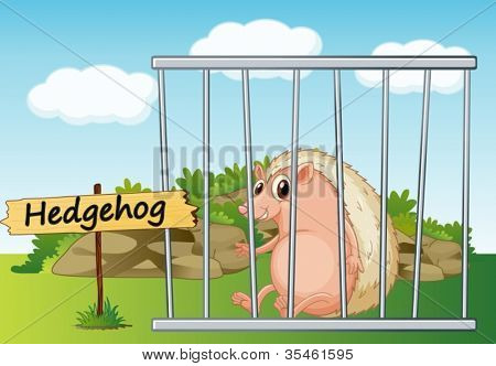 Beispiel für ein Igel im Käfig und Holzbrett