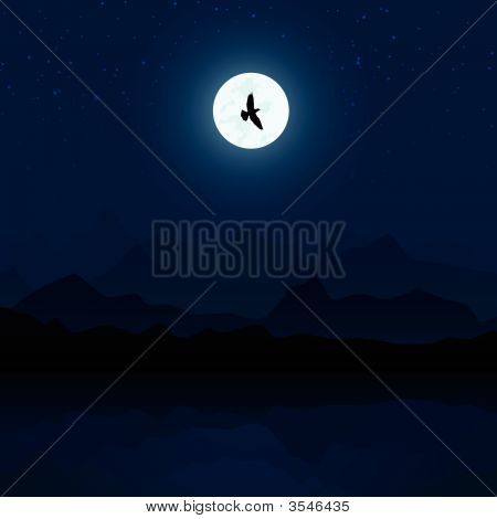 Landscape At Night