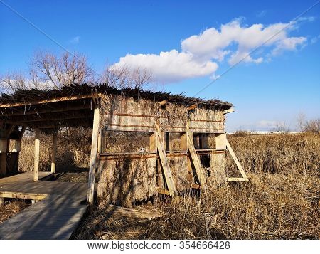 Birdwaching Tower - Nature Observation Cabin In The Vacaresti Delta