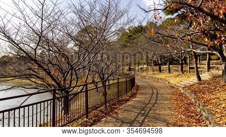 Colorful Autumn View With Withered Fallen Leaves Strewn On The Ground In Tsurumi Ryokuchi Park, Osak