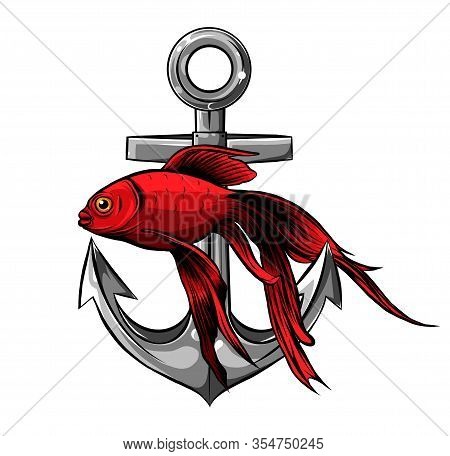 Vector - Gold Fish, Carassius Auratus, Fresh Water Aquarium Fish