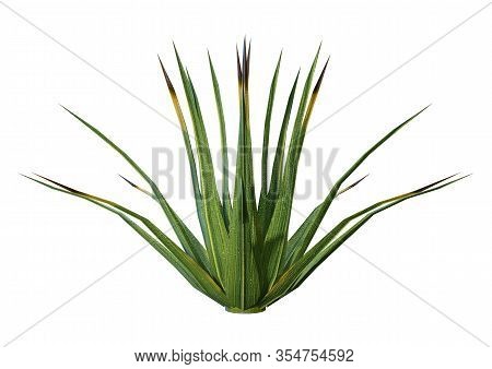 3D Rendering Patch Of Grass On White