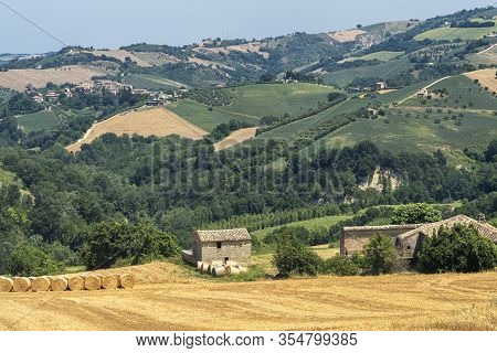 Rural Landscape At Summer Near Monte Giberto, Fermo, Marches, Italy