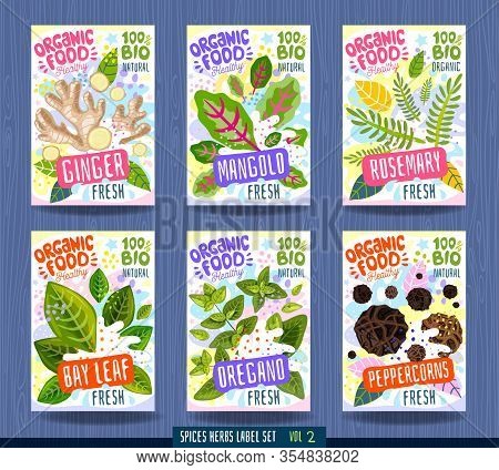 Abstract Splash Food Label Template. Vegetables, Herbs, Package Design. Ginger, Mangold, Rosemary, B