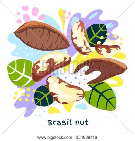 Fresh Brasil Nut Juice Splash Organic Food Condiment Splatter. Herbs Nuts. Abstract Colorful Art Spl