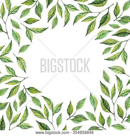 Floral Pattern. Watercolor Leaves And Branches Frame. Perfect For Invitation Cards Template, Scrapbo