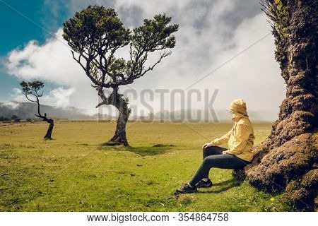 Woman resting near an Ancient tree and enjoying the view