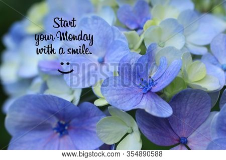 Monday Inspirational Quote - Start Your Monday With A Smile. On Background Of Beautiful Flower And P