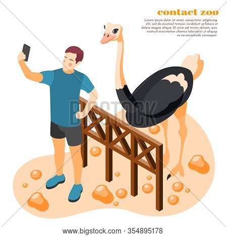 Contact Zoo Isolated Composition Big Headline And Man Made Selfie With Ostrich Vector Illustration