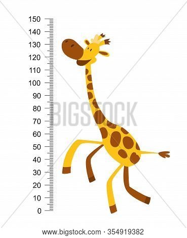Cheerful Funny Giraffe With Long Neck. Height Meter Or Meter Wall Or Wall Sticker From 0 To 150 Cent