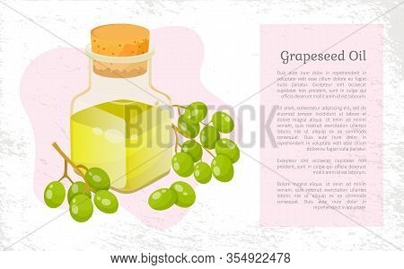 Grapeseed Oil In Glass Bottle And Branch Of Green Grapes. Postcard With Text Template And Fruit Ingr