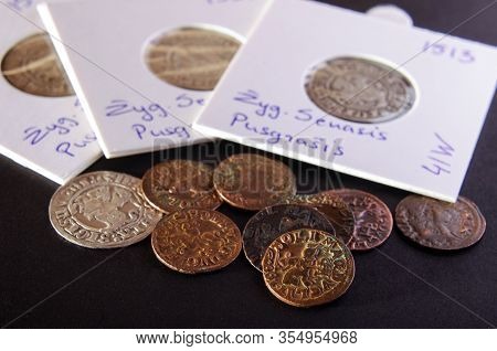 Professional Numismatics Hobby Accessories And Ancient Coins