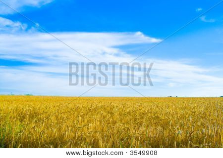 Grano