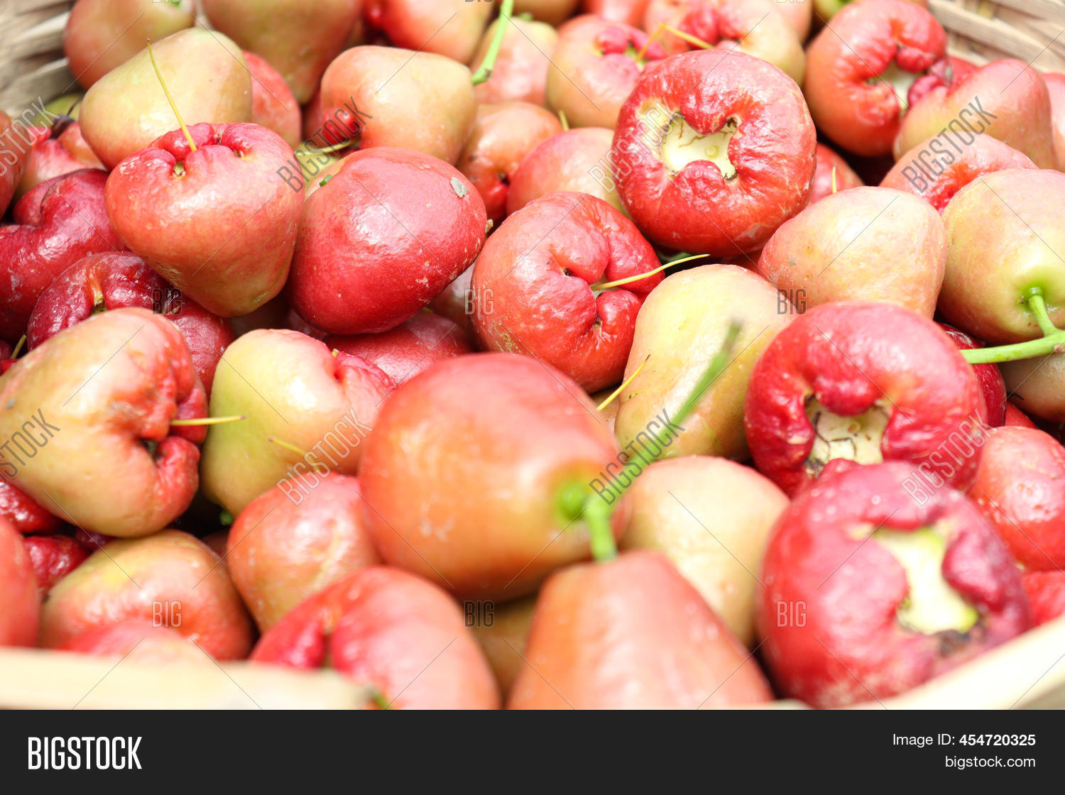 Image Preview