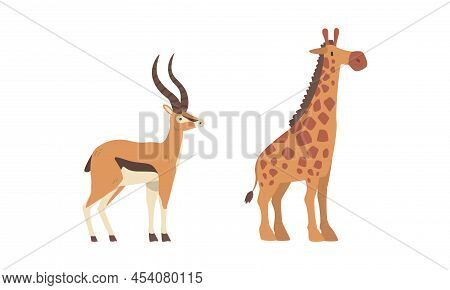 Antelope With Horns And Giraffe With Long Neck As Wild African Animal Living In Savannah