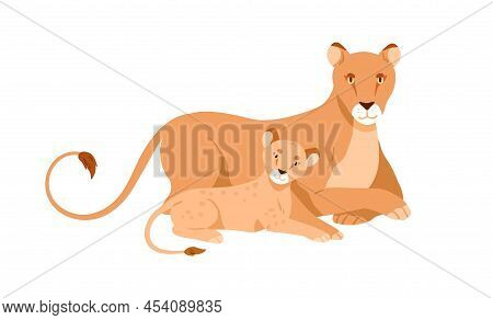 Wild Lion Family, Mother And Baby. Lioness And Little Lionet Lying, Resting Together. Jungle Carnivo