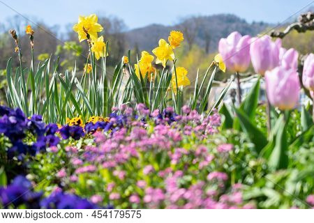 Weesen, Switzerland, April 13, 2022 Flower Scenery In A Little Park In Spring Time