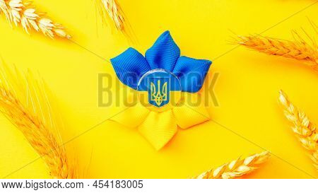 Ukraine Flag Symbol Background. Ukrainian Flower Trident Symbol With Wheat Grain Ear Isolated On Yel