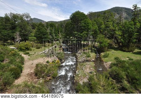 The Arroyo Partido, Road Of The Seven Lakes, Argentina.