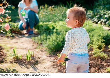 Gardening. Cute Child Is Standing In The Garden With A Small Toy Hoe In His Hand. Back View. In The 