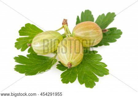 Gooseberry (ribes Uva-crispa) Isolated On White Background