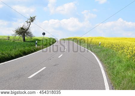 Country Road Up An Eifel Hill With Yellow Fields And A Fruit Tree