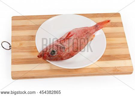 Raw Defrosted Single Carcass Of Redfish Also Known As Ocean Perch Or Norway Haddock On The White Dis