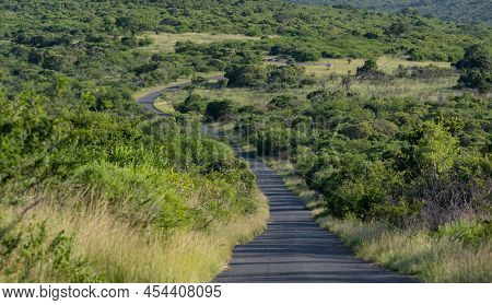 Hluhluwe Imfolozi Park Nature Reserve South Africa