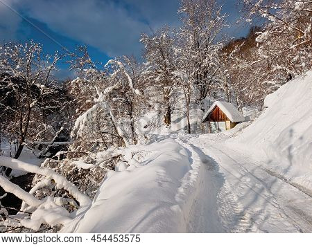 A Beautiful Winter Picture Of Kosivska Poliana